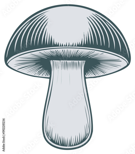 Isolated Mushroom Illustration with Intricate Line Work Emphasizing the Cap, Gills, and Stem in a Vintage Engraving Style for a Natural Look
