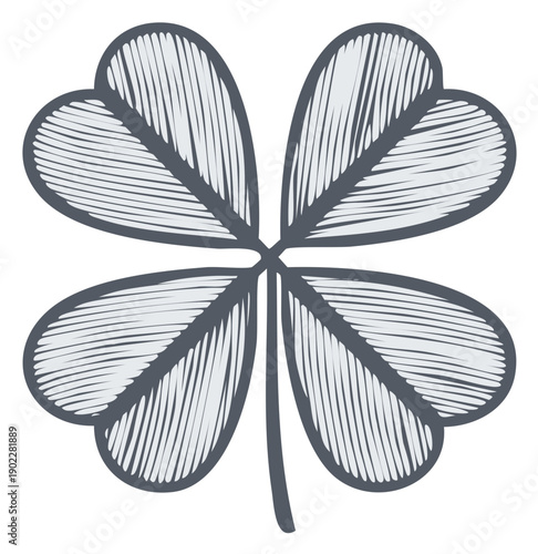 Four leaf clover illustration with detailed lines, good luck symbol, isolated, vintage design element.