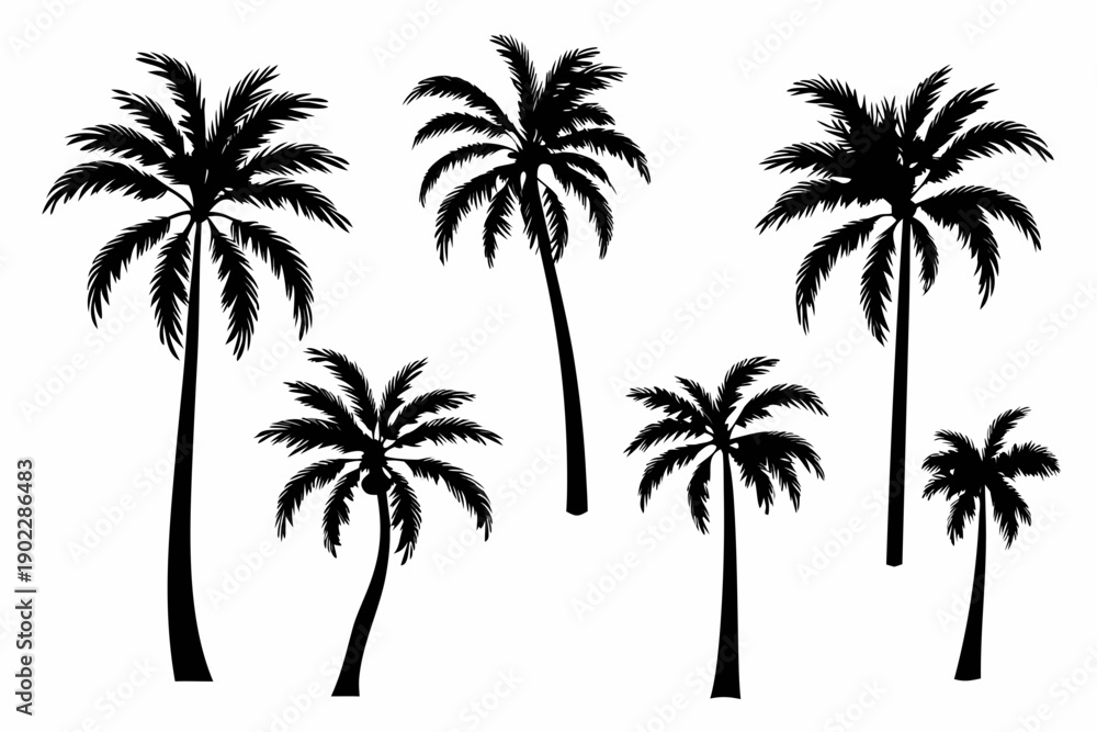 Obraz premium Silhouette of several palm trees against a stark white background