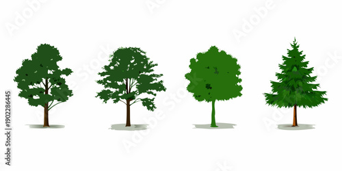 Four different types of trees displayed in a linear arrangement