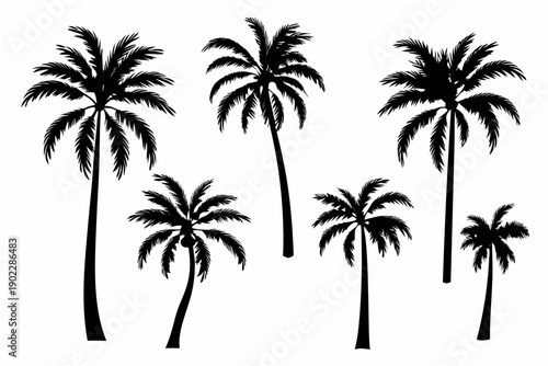 Silhouette of several palm trees against a stark white background