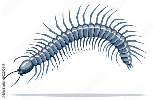Stylized Illustration of a Centipede in Graphic Style with Segmented Body and Leg Detail