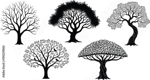 Black silhouette vector set of various detailed trees including oak maple and birch with intricate branches for nature landscape and environmental branding design