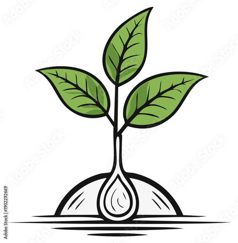 Green sprout with three leaves emerging from soil with water droplet illustration