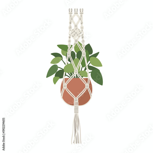 Hanging Potted Plant with Macrame Hanger