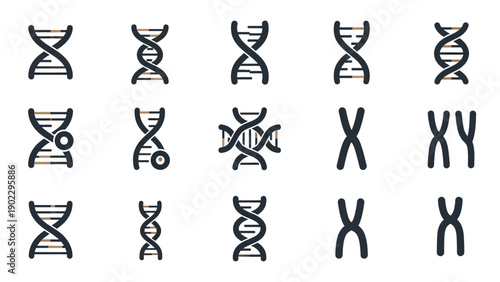 Dna helix icons vector illustrations of genetic structure and chromosomes