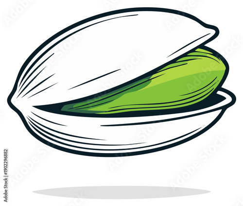 Stylized pistachio nut in shell illustration, isolated food graphic