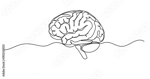 Simple black line drawing of human brain illustration on white background. No editable stroke