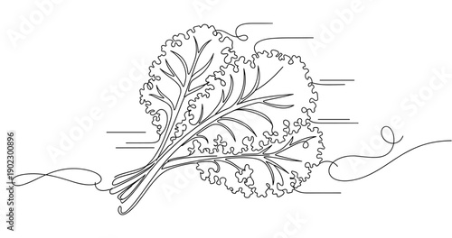 Intricate line art of fresh kale leaves with elegant swirls. Non editable stroke