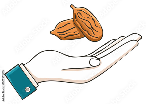 Person's open hand offering dry fruits or nuts