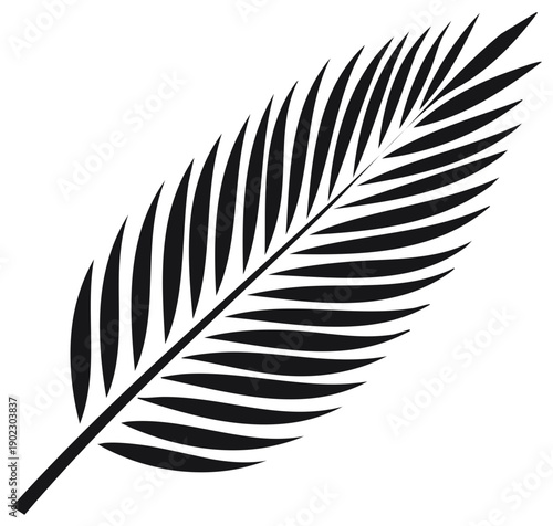 Elegant tropical black and white palm leaf vector illustration evoking summer vibes and botanical simplicity