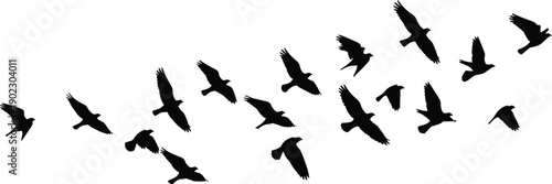 WebBlack bird silhouettes flying in a flock formation isolated on white background migratory birds group soaring in the sky for nature wildlife design