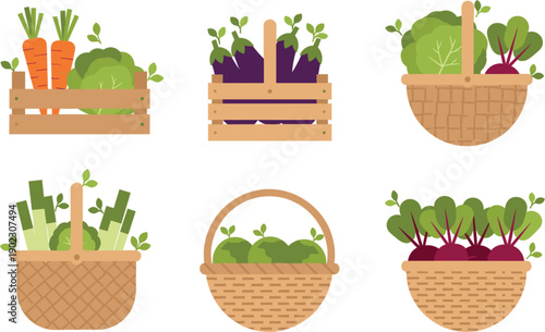 Fresh organic farm vegetables collection in wooden crates and wicker baskets including carrots eggplants lettuce beets and greens.