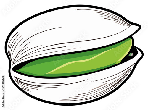 Pistachio Nut Illustration Open Shell Bright Green Seed Isolated Graphic
