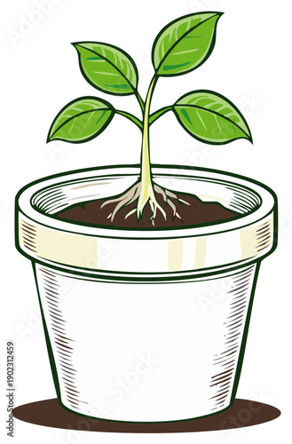 Illustration of green sapling in pot with brown soil displaying small plant growth and roots