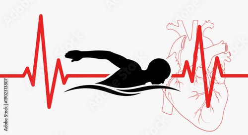 Swimmer silhouette with heartbeat line and heart anatomy.