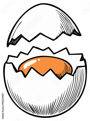 Hand drawn cracked egg showing vibrant yellow yolk and white inside broken shell illustration