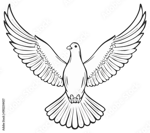 Outlined Dove with Spread Wings, Symbol of Peace and Freedom