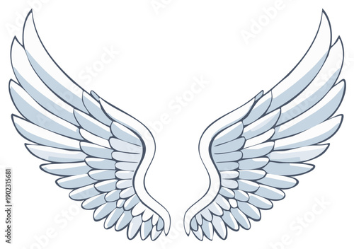 Cartoon wings illustration, feathered pair for angel or freedom concept.