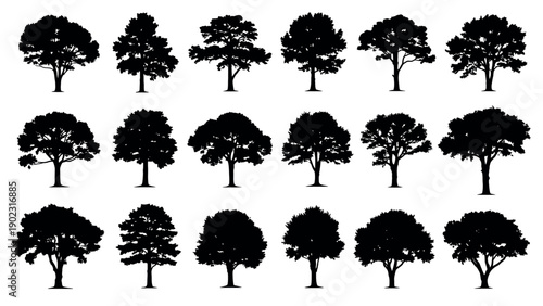 Collection of Diverse Tree Silhouettes Isolated on White Background.