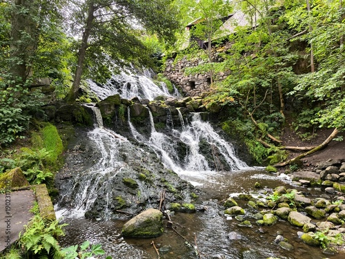 Rasmus Kvarn, Sweden - August 30th 2024: View of Rasmus Kvarn, a traditional wooden water mill with a red tiled roof, wooden footbridge and surrounding forest landscape in Sweden