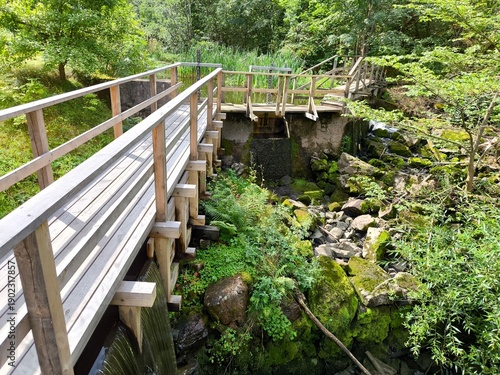 Rasmus Kvarn, Sweden - August 30th 2024: View of Rasmus Kvarn, a traditional wooden water mill with a red tiled roof, wooden footbridge and surrounding forest landscape in Sweden