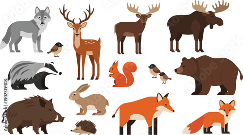 Large collection of wild forest animals and woodland wildlife set including bear deer fox wolf moose and squirrel isolated.