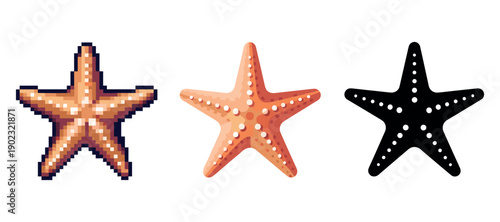 Pixelated, realistic, and silhouette starfish icons on white background