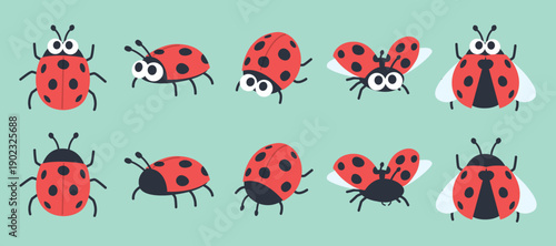 Collection of cute ladybug insects in flat style