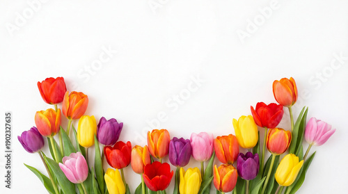 Top down view flat lay of colorful tulips arranged at the bottom of a clean white background. Minimalist spring floral composition with space for text.