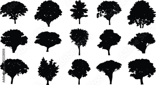 Black tree silhouette icon collection, diverse species vector illustrations for professional landscape, environment, and botanical design projects