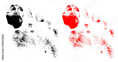 Billede på lærred Abstract paint splatter and thumbprint collection on transparent background for