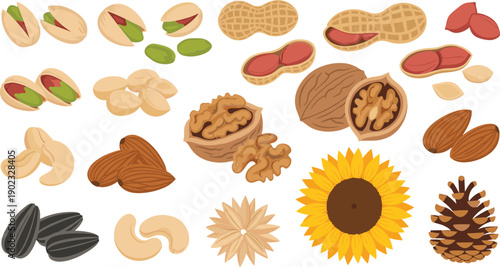 Assorted Nuts and Seeds Illustration Vector Set with Almond Cashew Peanut Walnut Pistachio Sunflower and Healthy Natural Snack Elements