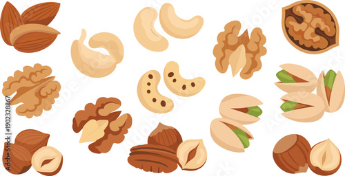 Assorted Nuts Illustration Vector Set with Almond Cashew Walnut Pistachio Hazelnut Pecan and Peanut Healthy Snack Food Elements