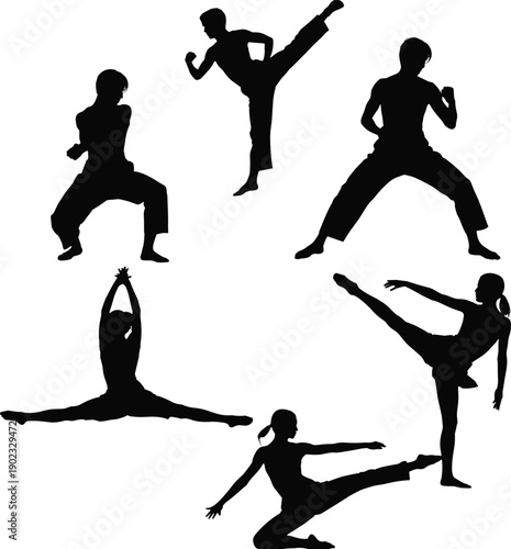 Martial arts silhouettes showing karate and taekwondo fighters in dynamic poses isolated on white background, combat sport training illustration for fitness