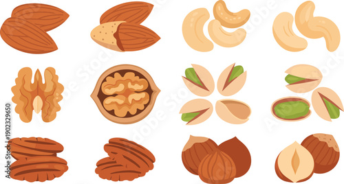 Assorted Nuts Illustration Vector Set with Almond Cashew Walnut Pistachio Hazelnut and Pecan Natural Healthy Snack Food Elements