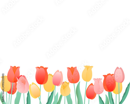 チューリップのフレーム　カラフルな春の花の背景（ミックスカラー）