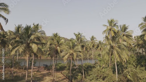 Wallpaper Mural Aerial drone camera rising to reveal the Tiracol River at the Goa–Maharashtra border in winter, with coconut palms in the foreground, mangroves, coastal vegetation, and tidal saline waters near Pernem Torontodigital.ca