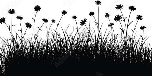 Wild grass and flower silhouette meadow illustration, natural floral landscape background, black botanical design isolated on white backdrop studio