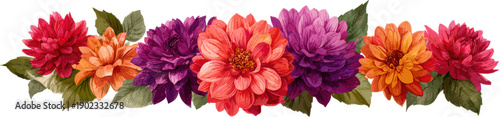 Colorful dahlia flower arrangement decoration