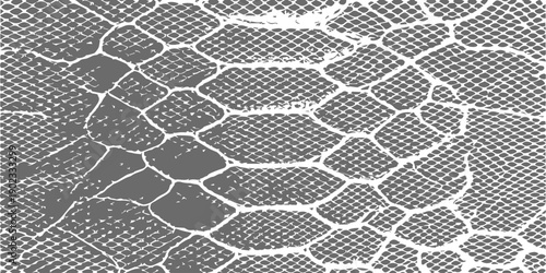 Monochromatic snake skin texture pattern with hexagonal scales and detailed reptile scales for abstract backgrounds