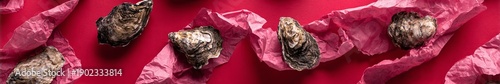 oysters on a pink background.