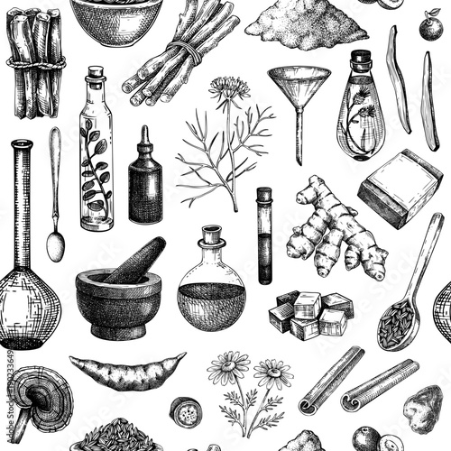 Vintage apothecary background. Herbal medicine seamless pattern. Laboratory glassware, herbs, roots, mushrooms hand drawn vector illustration NOT AI generated. 
