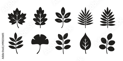 Set of diverse leaf icons representing nature flora and botanical elements in flat design