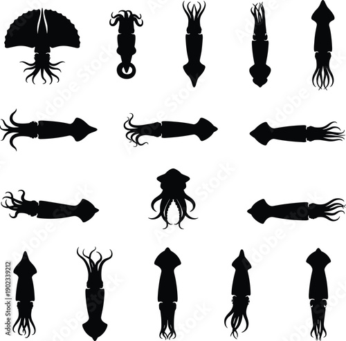 Squid sea creature silhouettes set showing top view, swimming directions, and tentacle movement icons isolated on dark gray background for marine design