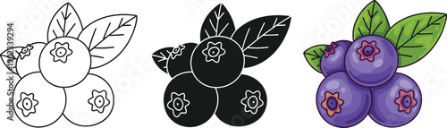 Blueberry icons set, fresh fruit, healthy food, berry illustration outline solid and color