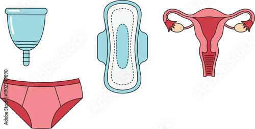 Feminine Hygiene Products and Female Reproductive System Illustration Set Isolated on White Background Vector Design