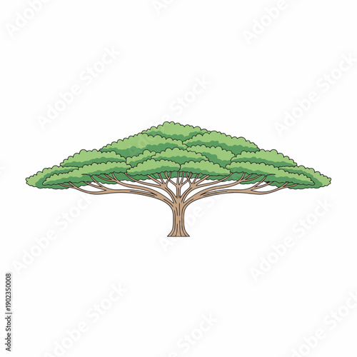 Minimal flat vector illustration of a single rain tree (trembesi), very wide canopy, horizontal branching, iconic silhouette, clean smooth outlines