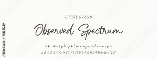 Signature Font Uppercase Lowercase And Number. Script Font Calligraphy Logotype elegant Font Type Font lettering handwritten. vector illustration