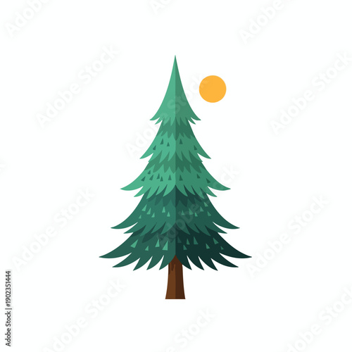 Serene Evergreen Tree under the Sun